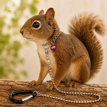 Small Pet Metal Bead Chain Leash, Lightweight Walking Lead, Suitable For Squirrels, Rabbits, Sugar Gliders And Other Small Animals Outdoor Travel - Multicolor - View 1