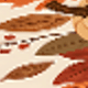 Multicolor