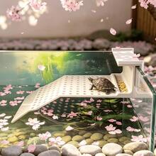 外部夾式烏龜曬背平台,附餵食托盤、鏤空攀爬坡道與曬背甲板,可掛在玻璃魚缸上無需鑽孔,適合巴西龜與草龜的浮動休息平台,附食物盒防止龜糧散落,多功能魚缸裝飾配件 - 白色 - 查看 3