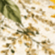 متعدد الألوان