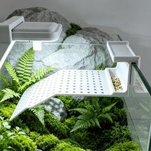 外部夾式烏龜曬背平台,附餵食托盤、鏤空攀爬坡道與曬背甲板,可掛在玻璃魚缸上無需鑽孔,適合巴西龜與草龜的浮動休息平台,附食物盒防止龜糧散落,多功能魚缸裝飾配件 - 白色 - 查看 4