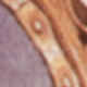 Modern Poster