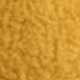 Yellow Chick