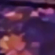 彩色