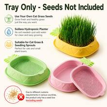 1pc (Excluding Seeds) Hydroponic Cat Grass Planting Kit, Helps Cats' Digestion And Health Improvement - Includes Greenhouse-Style Growth Box, Soilless Hydroponic Planter, Suitable For Gardening And Seedling (Excluding Seeds Planting Kit) - A - View 8