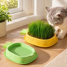 1pc (Excluding Seeds) Hydroponic Cat Grass Planting Kit, Helps Cats' Digestion And Health Improvement - Includes Greenhouse-Style Growth Box, Soilless Hydroponic Planter, Suitable For Gardening And Seedling (Excluding Seeds Planting Kit) - A - View 2