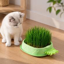 1pc (Excluding Seeds) Hydroponic Cat Grass Planting Kit, Helps Cats' Digestion And Health Improvement - Includes Greenhouse-Style Growth Box, Soilless Hydroponic Planter, Suitable For Gardening And Seedling (Excluding Seeds Planting Kit) - A - View 3