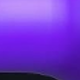 Violet Purple