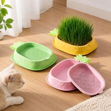1pc (Excluding Seeds) Hydroponic Cat Grass Planting Kit, Helps Cats' Digestion And Health Improvement - Includes Greenhouse-Style Growth Box, Soilless Hydroponic Planter, Suitable For Gardening And Seedling (Excluding Seeds Planting Kit) - A - View 5