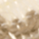متعدد الألوان