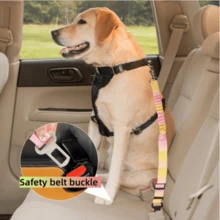 AD Fashionable Colorful Pet Car Retractable Elastic Leash With Car Safety Buckle, Nylon Anti-Escape Rope, Suitable For Small, Medium And Large Dogs - Colorful Car Leash - View 4