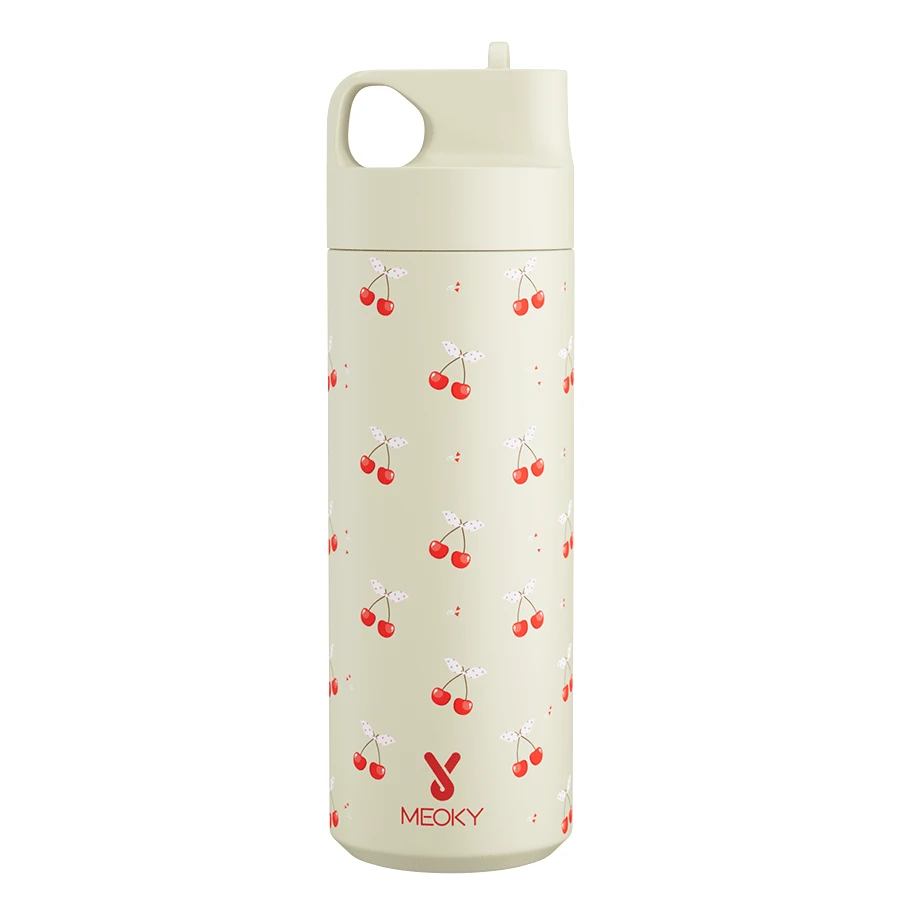 Meoky 19oz Stainless Steel Insulated Water Bottle With Pattern Design, Leak-Proof And Portable, Includes Straw, Suitable For School, Gym, Office Or Outdoor Adventure, For Hot Or Cold Drinks