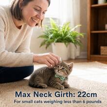 PINCOOL 1 pieza Collar de gato lindo con hebilla anti-estrangulamiento, sin función de correa, collar decorativo para gatos y perros, circunferencia máxima del cuello 22cm - Verde - Ver 8