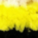 Little Bee