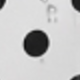 trắng