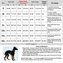 全包覆式四足格雷獵犬連身衣，可調節抽繩高領與彈性褲腳，防風寵物衣，適合義大利格雷獵犬與惠比特犬，日常散步與戶外穿著 - 白色 - 查看 11