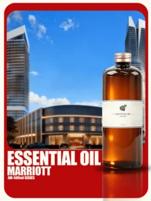 500ml Oil-Based Fragrance Oil, 28% Concentration Diffuser Refill, Suitable For Reed Diffusers, Car Diffusers, Scent Sachets, Candles And Handmade Soap Making, Home Air Freshener - Essential Oil 500ml - View 15