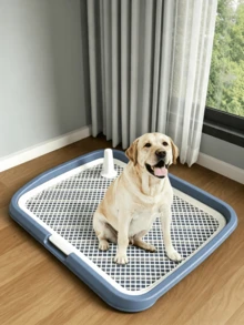 Oversized Splash-Proof Dog Toilet With Column, Flushing Function, Flat Design, Specially Designed For Dogs, Available In Four Colors - Blue - View 1