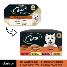 Cesar Comida Húmeda para Perros, Selección de Clásicos en Paté, Multipack (Pack de 6 x 4 tarrinas x 150g) - gramo - Ver 8