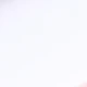C Blush Brush