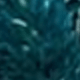 Biru Merak