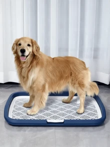 مرحاض كلاب كبير الحجم مقاوم للرذاذ مع عمود، وظيفة الشطف، تصميم مسطح، مصمم خصيصًا للكلاب، متوفر بأربعة ألوان - رمادي - مشاهدة 3