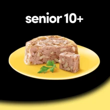 Cesar Comida Húmeda para Perros Senior en paté con Pollo y Arroz (Pack de 14 Tarrinas x 150g) - gramo - Ver 4