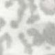 Light Gray Leopard Print