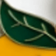 5件裝檸檬片