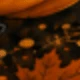 متعدد الألوان