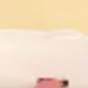彩色