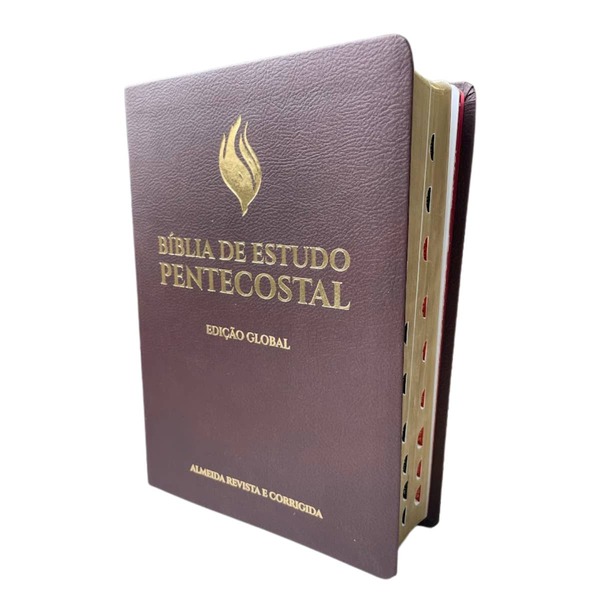 Bíblia de Estudo Pentecostal Letra Grande Global ÍNDICE ARC Almeida Palavras de Jesus Vermelho CPAD Vinho