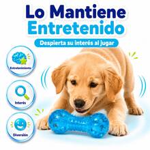 Fancy Pets Large Flexible Squeaky Dog Toy - Ginger - View 8