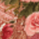 彩色