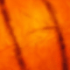 Multi-color 3 (Halloween Style)