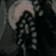 الأسود