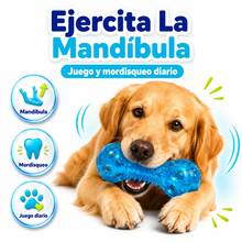 Fancy Pets Large Flexible Squeaky Dog Toy - Ginger - View 6