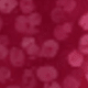 Rose Red