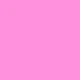 Rosa Fucsia