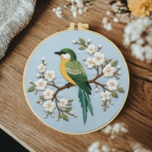 1PC 20*20cm/7.9*7.9in,Beautiful Birds Embroidery Kit, DIY Handmade Embroidery Set For Adult Beginners, Home Gift, Women's Sewing Gift, Including User Manual, Printed Pattern Fabric, Embroidery Frame, Needle And Thread. - Beautiful Birds - View 15