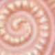 MultiWarna