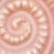 MultiWarna