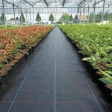 1件聚丙烯編織控制布,用於植物控制、農業覆蓋布、溫室墊,透水性 - 多款式 - 查看 3