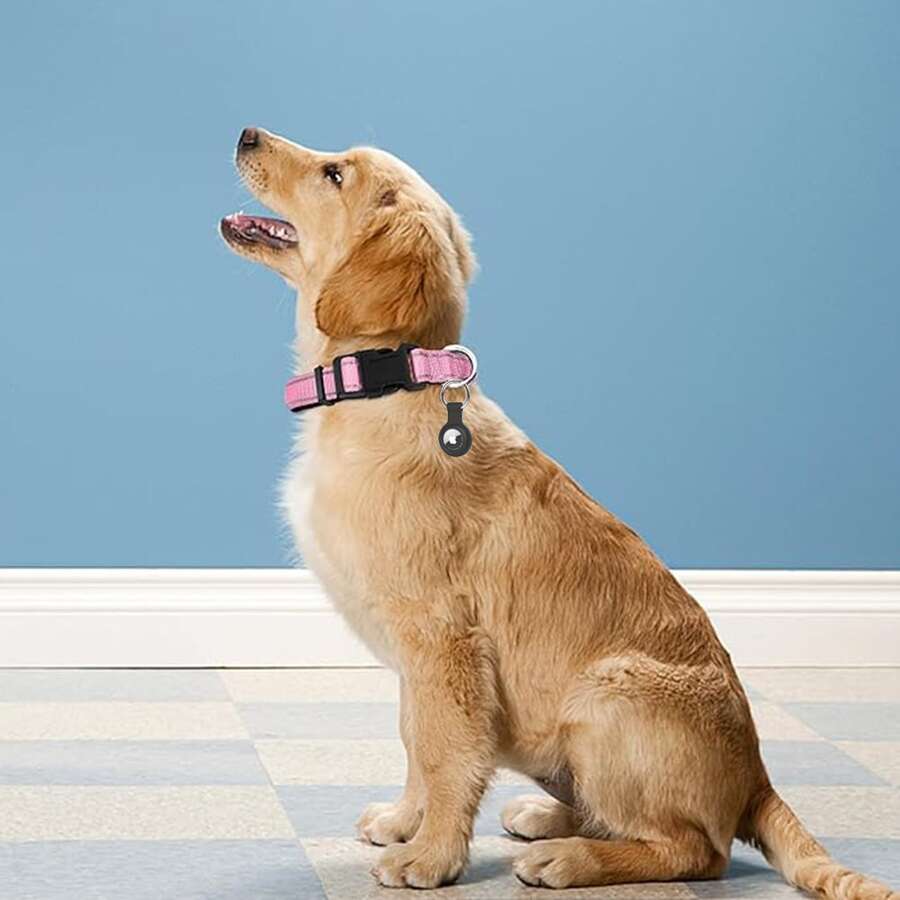 Cat & Dog Reflective Collar, S/M/L, With Detachable Locator Silicone Protective Sleeve, Reflective Nylon Dog Collar - Pet Training Collar - Padded, Soft & Comfortable, Suitable For Large, Medium & Small Dogs - Durable - Multicolor - View 1