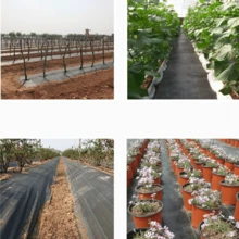 1件聚丙烯編織控制布,用於植物控制、農業覆蓋布、溫室墊,透水性 - 多款式 - 查看 6
