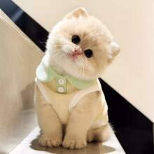 1 buah Rompi Polo Tipis Musim Panas untuk Kucing & Anjing, Rompi Anjing Lucu Ragdoll Golden Gradient British Shorthair, Anti-Rontok - Putih - View 9