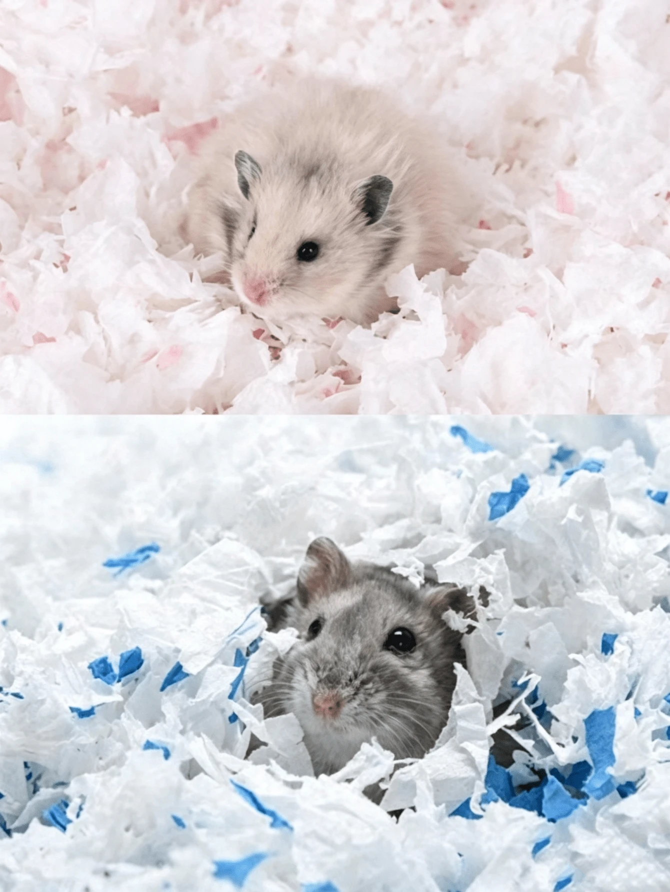1pc Dust-Free Natural Wood Pulp Hamster Bedding, Warm & Absorbent Wood Shavings Litter, Multi-Color Deodorizing Dry No Additives - Multicolor - View 1