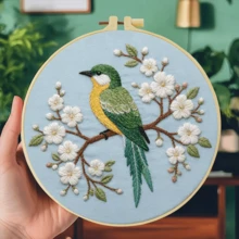 1PC 20*20cm/7.9*7.9in,Beautiful Birds Embroidery Kit, DIY Handmade Embroidery Set For Adult Beginners, Home Gift, Women's Sewing Gift, Including User Manual, Printed Pattern Fabric, Embroidery Frame, Needle And Thread. - Beautiful Birds - View 6