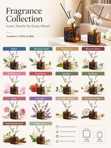122/50ml Floral Vine Aromatherapy Set, Includes Floral Vine And Black Reed Diffuser Oil, Glass Bottle Home Decor, Suitable For Bedroom, Bathroom, Living Room, Office, Hotel Aromatherapy Diffuser, Desktop Decoration, Christmas Holiday Decoration, Floral Fragrance New Style - Multi-fragrance - View 3