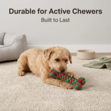 1pc Bone Shaped Braided Dog Toy, Durable Chew Rope, Suitable For Small To Medium Dogs, Perfect Gift - Multicolor - View 4